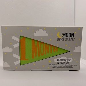 Baby Milestone Pennants - 14 piece